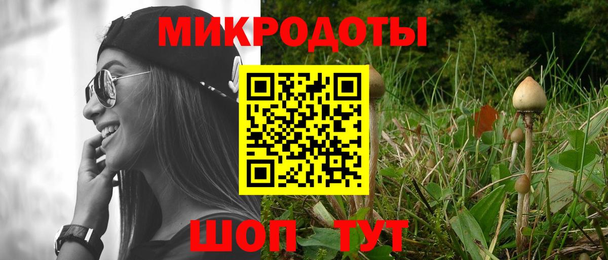 Муравленко  Псилоцибиновые грибы Psilocybe  Вход с VPN 