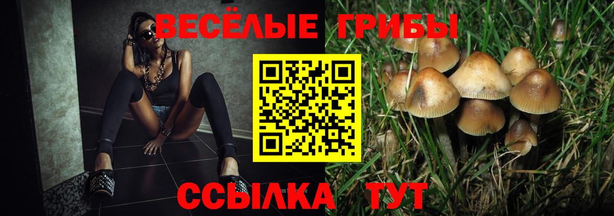 Псилоцибиновые грибы прущие грибы Муравленко